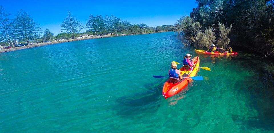 Byron Bay: Brunswick River Scenic Kayak Tour - Reviews