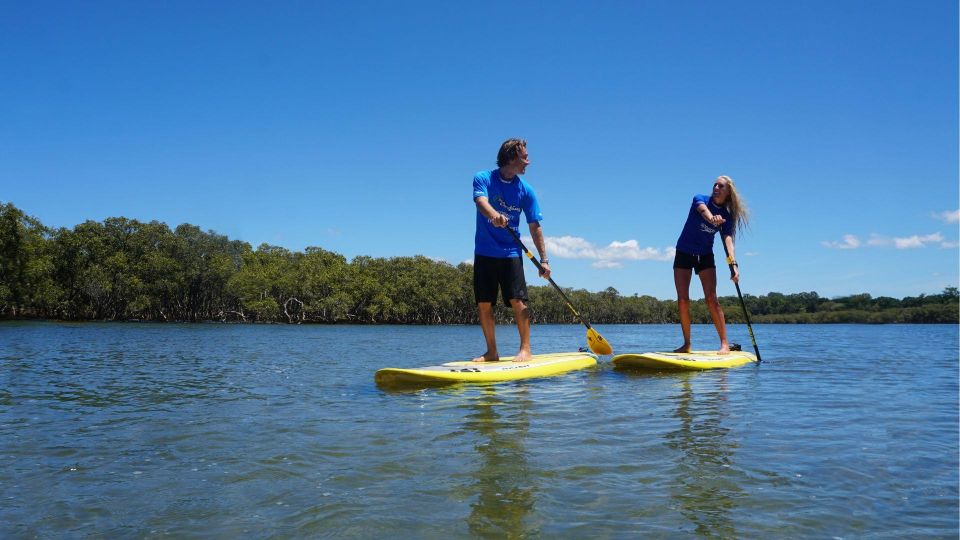 Byron Bay: Group 2.5 Hour Stand-Up Paddle Board Tour - Includes