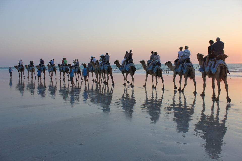 Cable Beach: 1-Hour Sunset Camel Ride - Customer Reviews