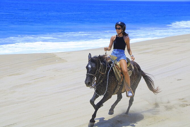 Cabo Horseback Riding on Pacific Beach and Desert - Review Highlights and Customer Experiences