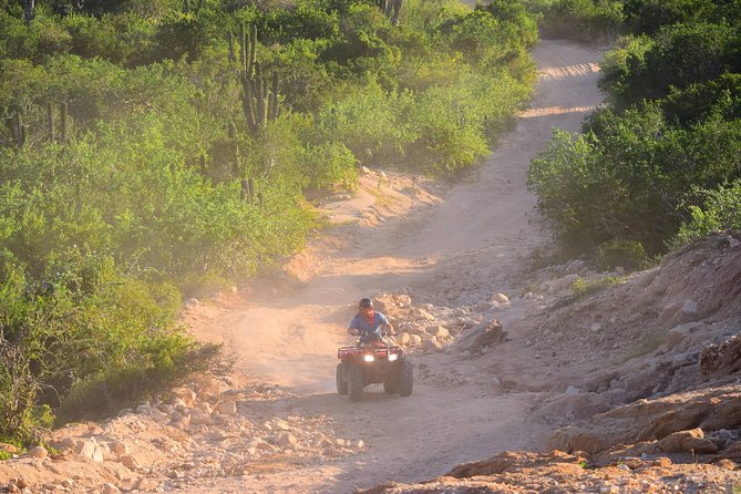 Cabo Original Real Baja 1000 Tour (Single ATV) - Safety and Requirements