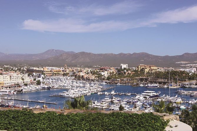 Cabo San Lucas and San Jose Del Cabo Sightseeing Tour - Positive Aspects and Highlights