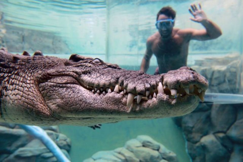 Cage Of Death Crocodile Swim and Entry to Crocosaurus Cove - Customer Reviews