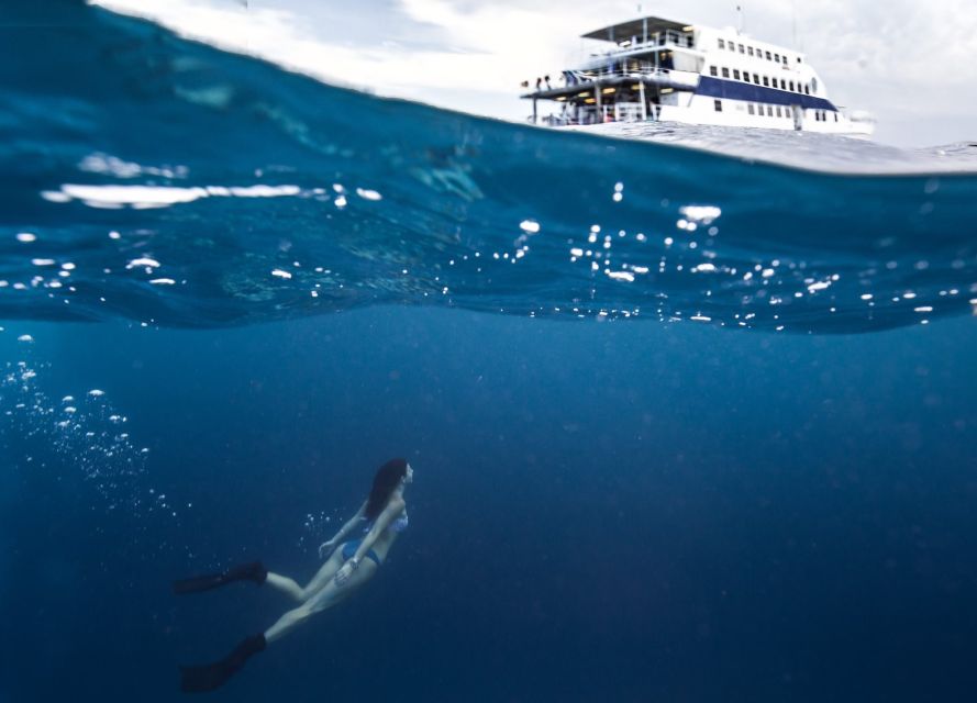 Cairns: Great Barrier Reef Overnight Snorkeling Boat Trip - Safety Gear and Briefings