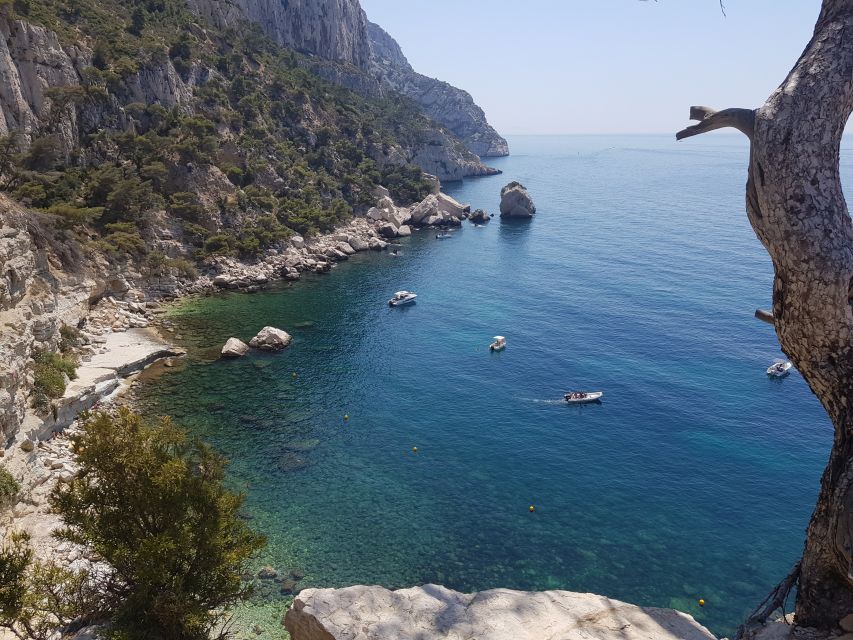 Calanques National Park: 6-Hour Hike - Hiking Experience Highlights