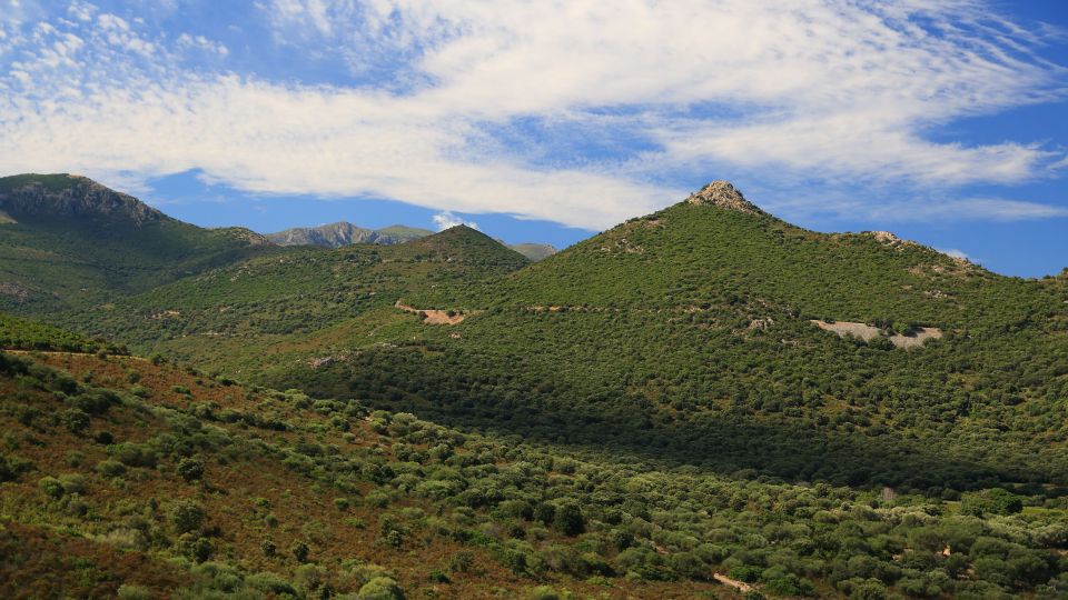 Calvi: Asco Valley 4x4 Day Tour With Guide - Location and Accessibility