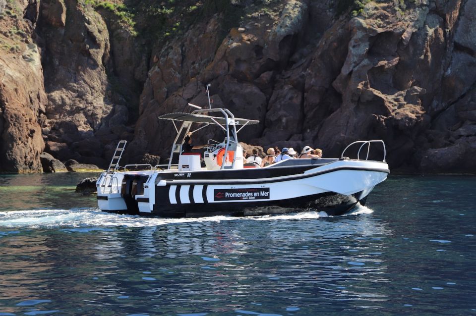 Calvi to Scandola: 4-Hour Boat Tour - Service Details