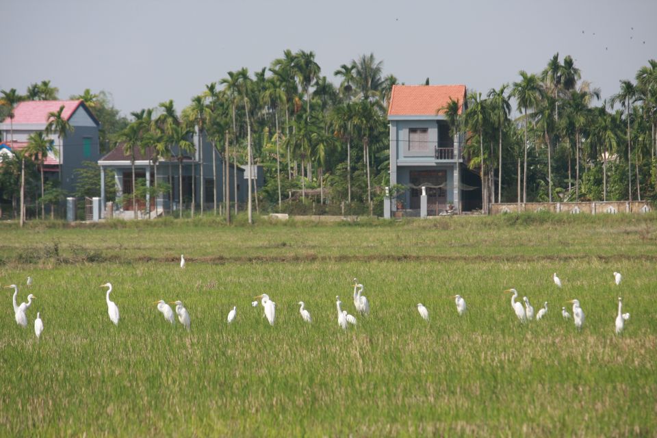 Cam Thanh Bike Tour From Hoi an - Additional Information