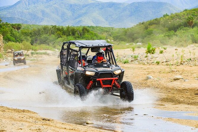 Camel Ride and UTV Combo Adventure, With Tequila Tasting - Activities and Pricing