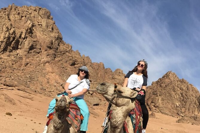 Camel Ride & Bedouin Dinner Quad Safari in Sharm El Sheikh - Common questions