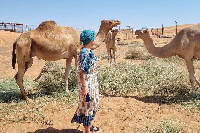 Camel Ride Safari in Red Dunes - Pricing Information