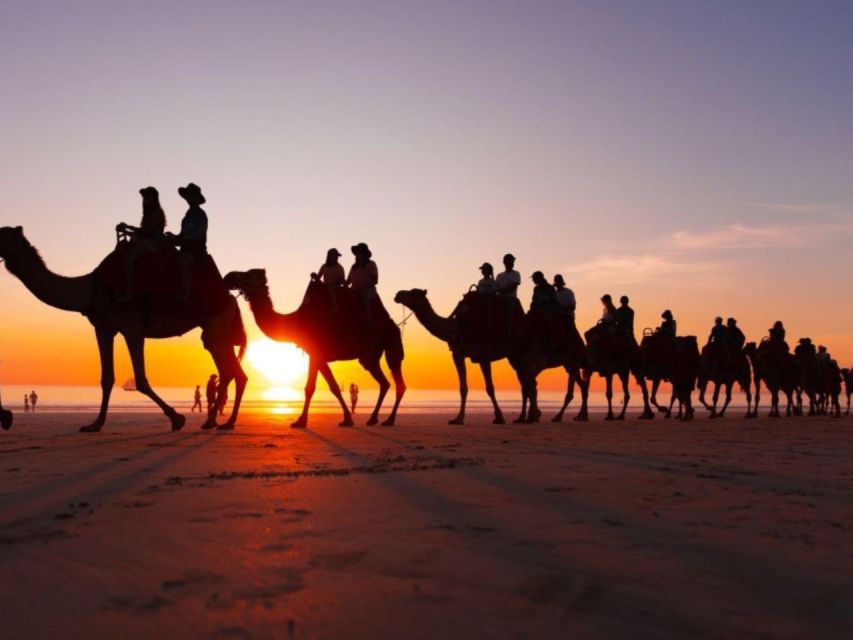 Camel Ride Tour in Palmerie of Marrakech - Last Words
