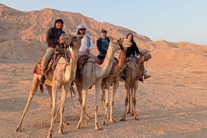 Camel Riding Tour in Luxor West Bank - Common questions