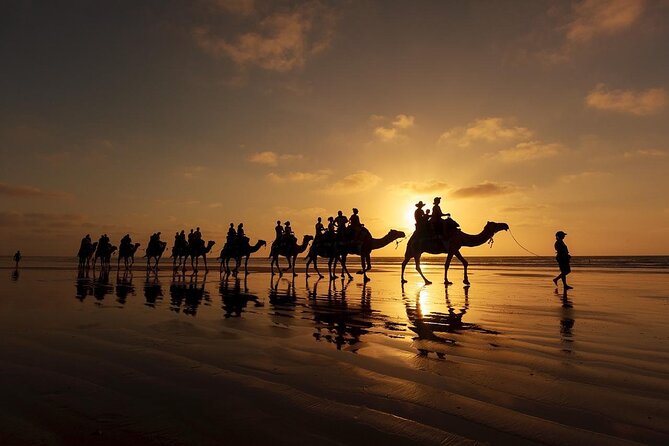 Camel Trekking in Abu Dhabi With Shared Transfer, Fun and More - Booking Details and Support