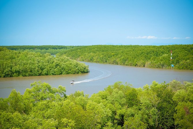 Can Gio Mangrove Forest Biosphere Private Tour  - Ho Chi Minh City - Traveler Ratings and Reviews