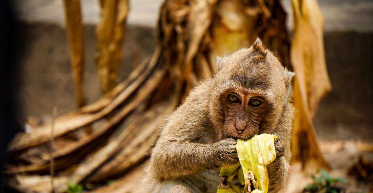 Can Gio Mangrove Forest Private Day Trip From Ho Chi Minh - What to Bring