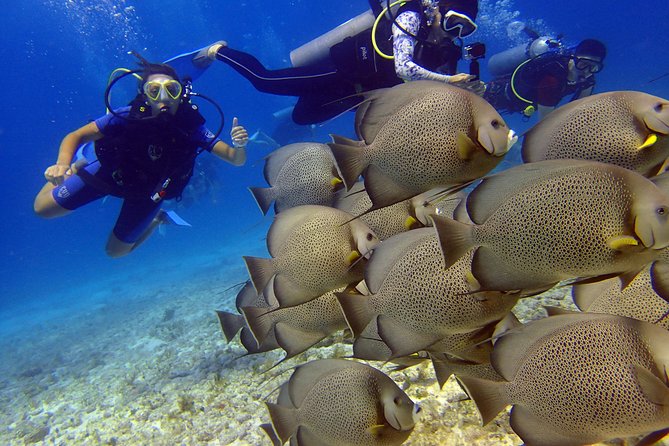 Cancun Beginners Scuba: Two Tanks, Two Dives, No Dock Fees - Instructor Clementes Professionalism