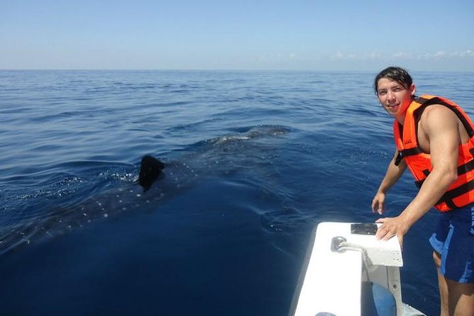 Cancun Whale Shark Tour With Transportation - Tour Details and Itinerary