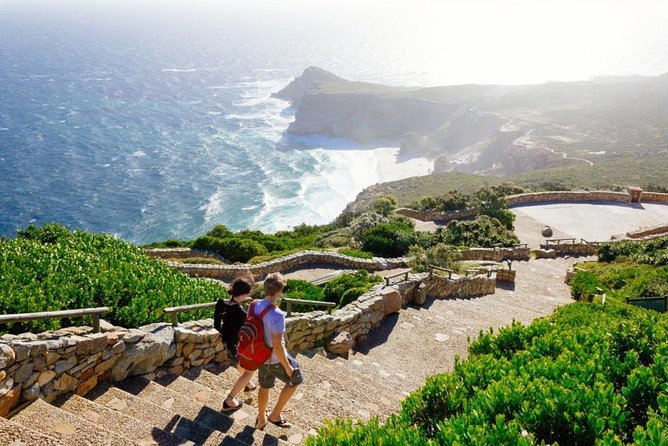 Cape Peninsula Full Day Tour - Customer Reviews and Ratings