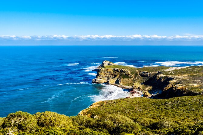 Cape Town Full-Day Cape of Good Hope, Penguins Small Group Tour - Customer Testimonial