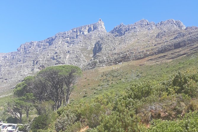 Cape Town Halfday City and Table Mountain Tour - Pricing Details