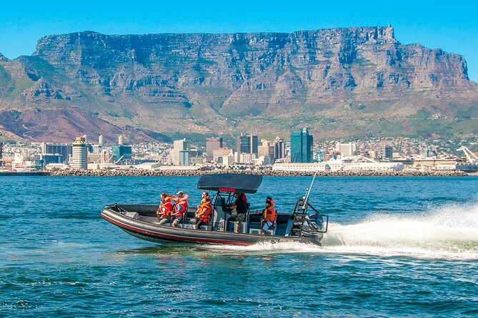 Cape Town Ocean Safari Boat Tour - Common questions