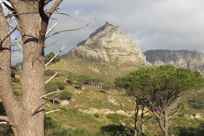 Cape Town: Pipetrack Hike for the Whole Family on Table Mountain - Common questions