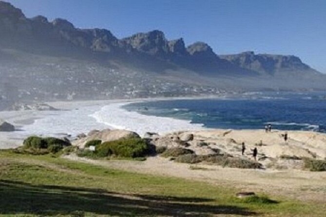 Cape Town Shore Excursion: Private Small Group Cape Peninsula - Last Words