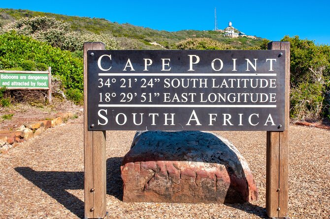 Cape Town Shore Tour: Table Mountain, Penguin & Cape Point - Dining Options