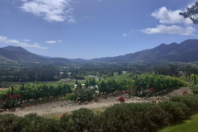 Cape Winelands and Wine Tasting Full Day Tour - Operator Information