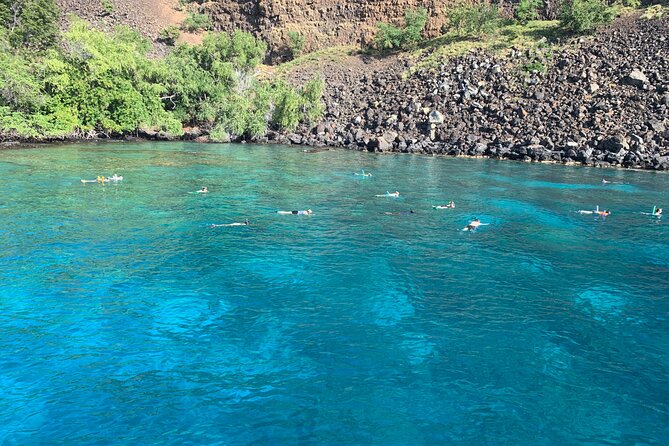 Captain Cook/ Kealakekua Bay Reef Snorkeling - Tour Confirmation and Recommendations