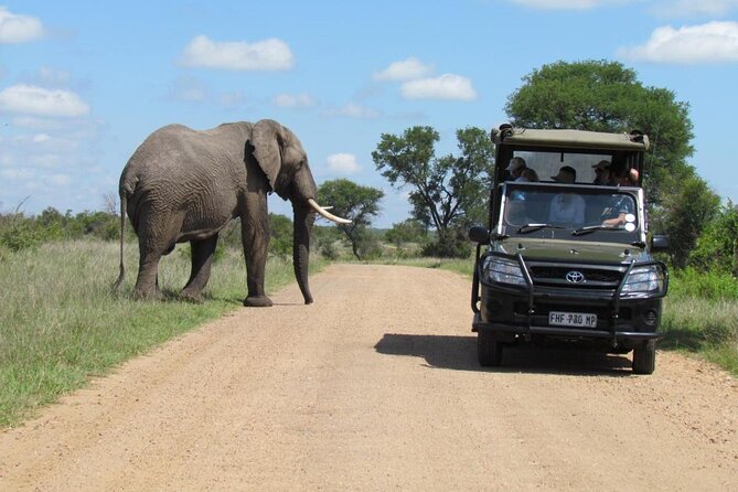 Captivating 2 Day Kruger Safari From Johannesburg - Wildlife Spotting and Accommodation Details