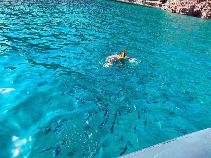 Cargèse: Capo Rosso Snorkeling and Sea Cave Tour - Restrictions