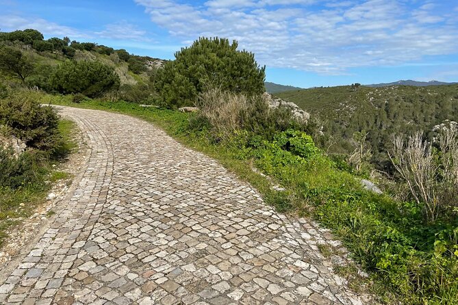 Cascais-Sintra E-Bike Tour: Discover Its Natural Beauty - Tour Last Words