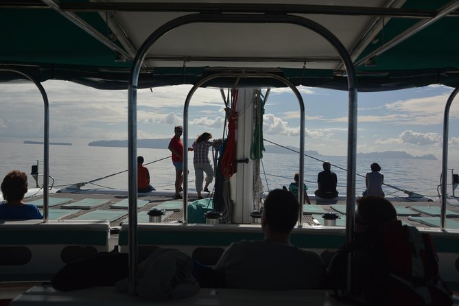 Catamaran Day Cruise to Desertas Islands From Funchal - Gastronomic Delights Onboard