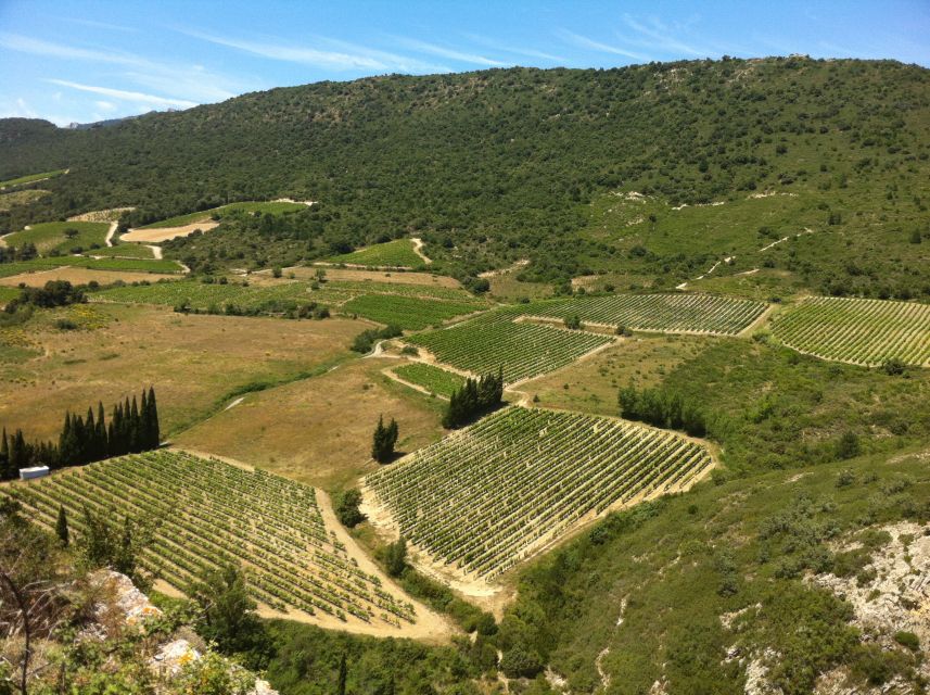 Cathar Castles: Quéribus and Peyrepertuse - Breathtaking Views at Quéribus Castle