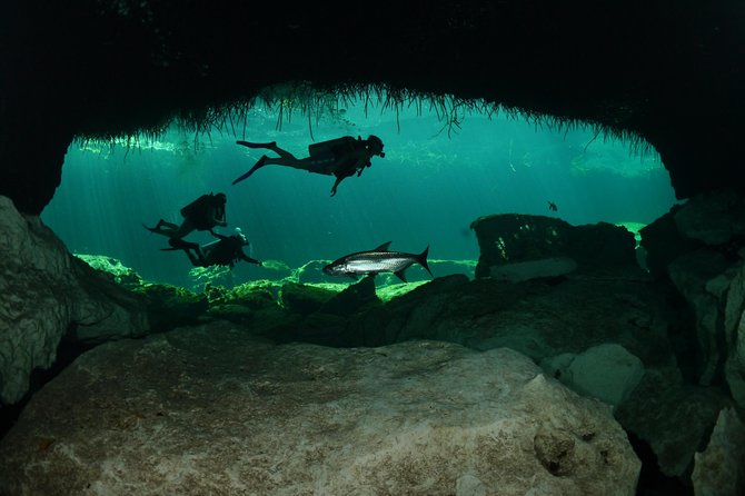 Cenote Diving Experience  - Tulum - Cancellation Policy