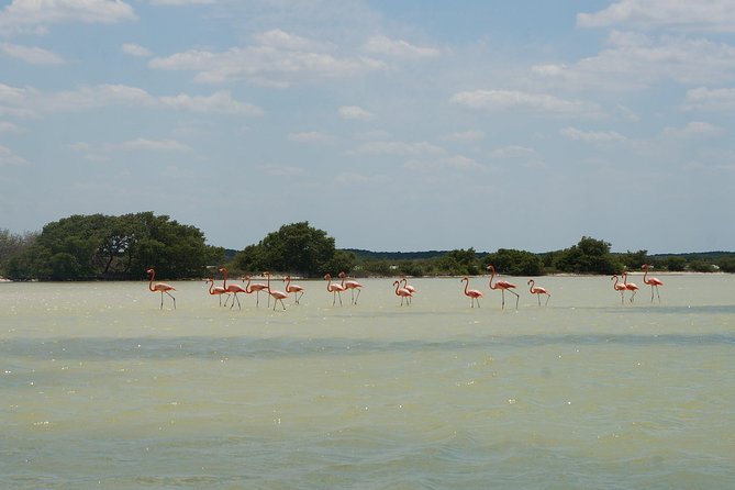 Cenote Suytun & Rio Lagartos & Las Coloradas - Cancellation Policy