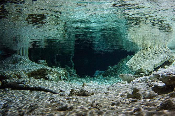 Cenote VIP Day Trip With Snorkel Guide  - Playa Del Carmen - Booking Details