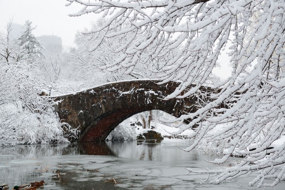 Central Park NYC: First Discovery Walk and Reading Tour - Customer Reviews