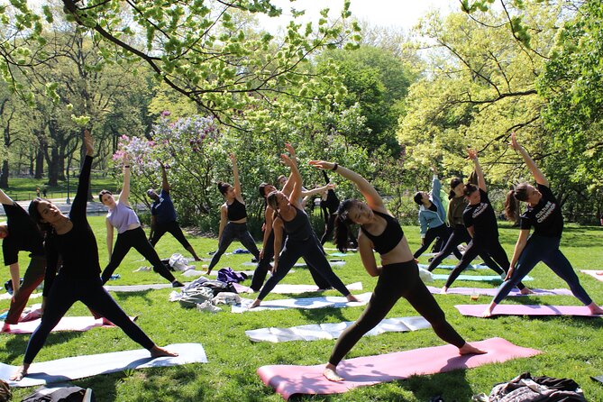 Central Park Yoga Class With A View In The Heart Of New York City