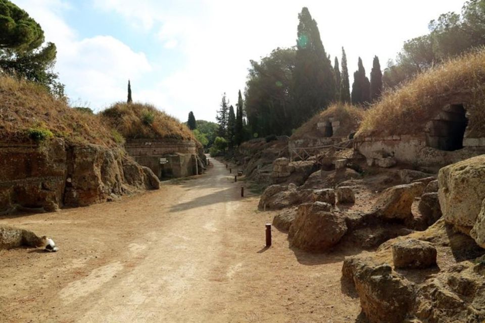 Cerveteri & Tarquinia Private Tour From Rome - Booking Process