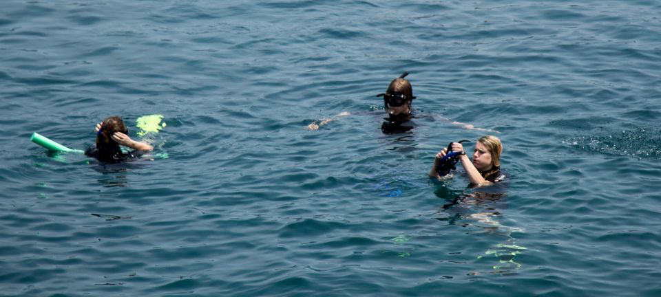 Cham Island Discovery Tour - Additional Information