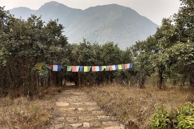 Champadevi Hiking Private Day Trip From Kathmandu - Pricing and Booking Details