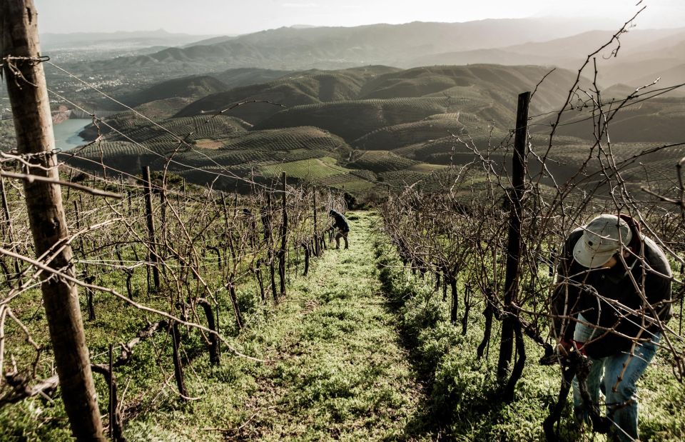 Chania Countryside/Winery Visit With a Private Driver - Location and Duration