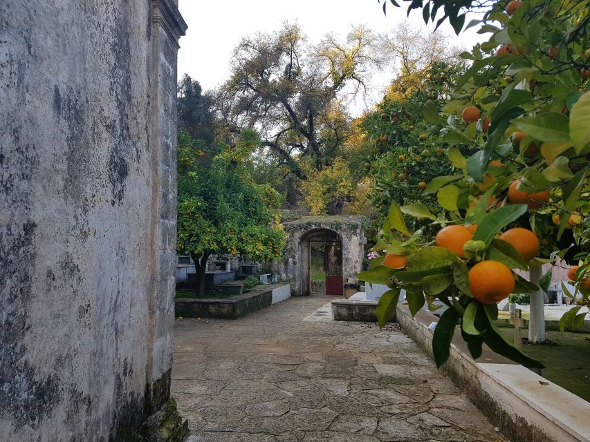 Chania: Discover the Religious Heritage Of Apokoronas - Glorious Church: Imperial Legacy and Frescoes