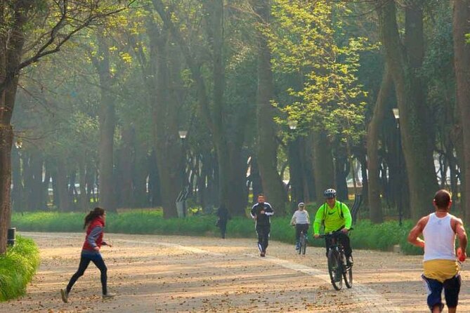 Chapultepec Park by Bike Guided Tour - Reviews and Ratings Overview