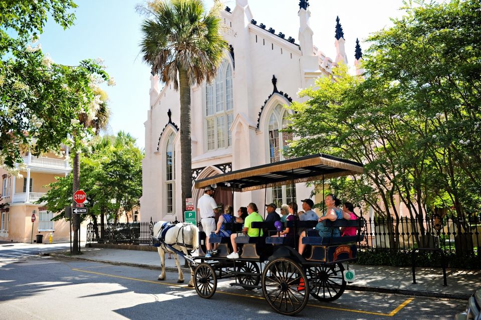 Charleston: 1-Hour Carriage Tour of the Historic District - Participant Booking Information