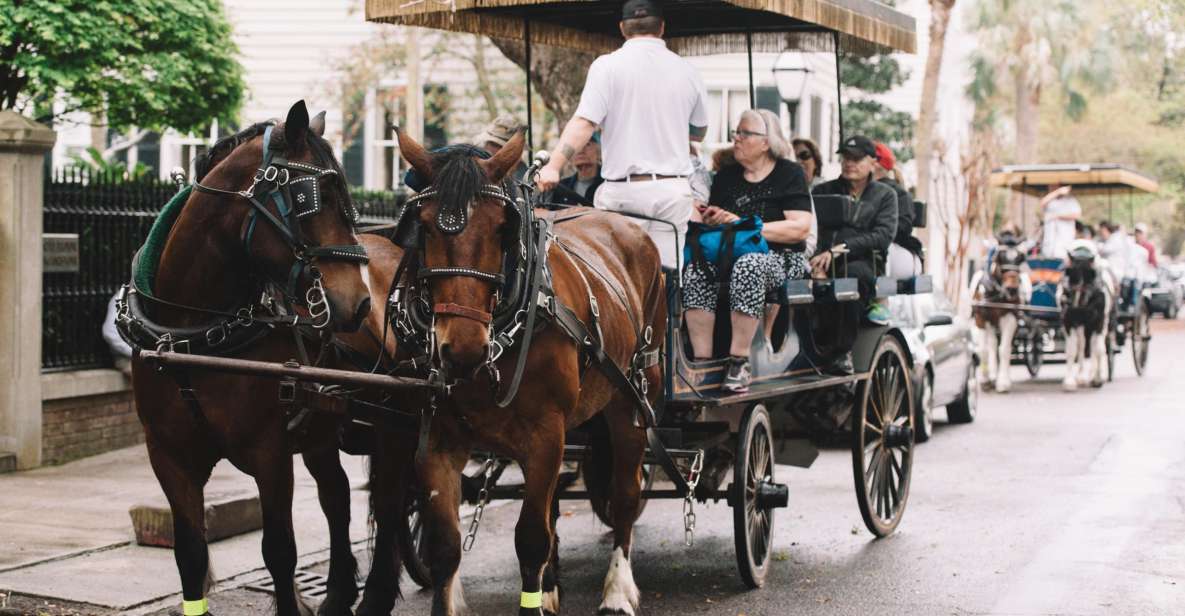 Charleston: Downtown Evening Carriage Tour - Review Summary