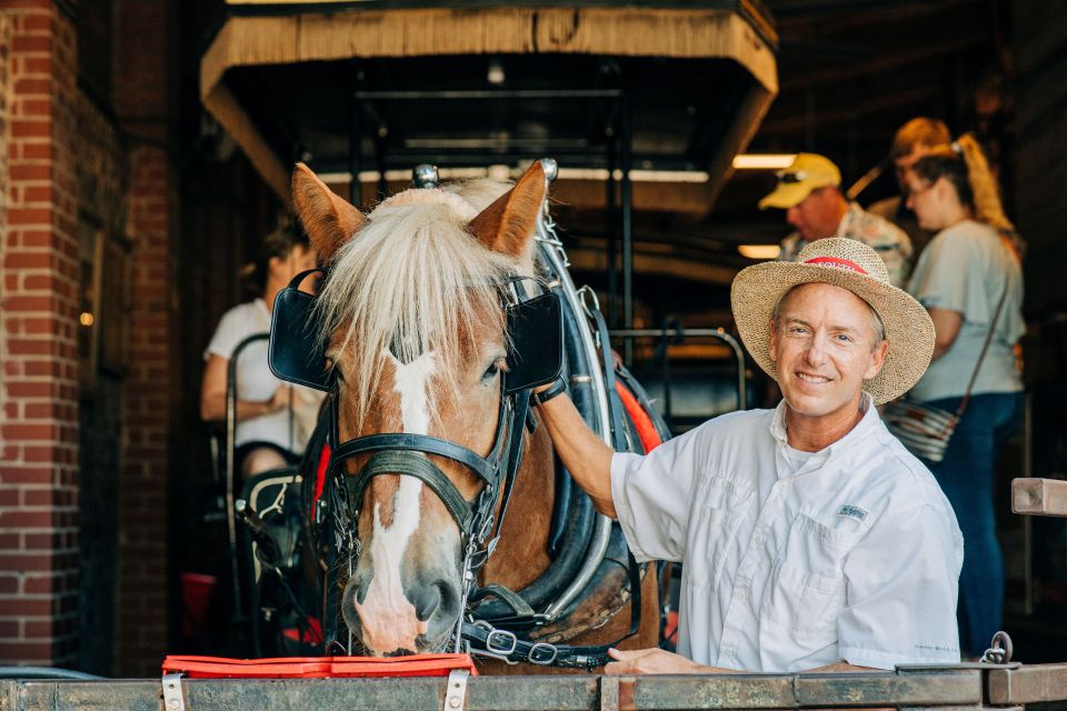 Charleston: Historical Downtown Tour by Horse-drawn Carriage - Product Details